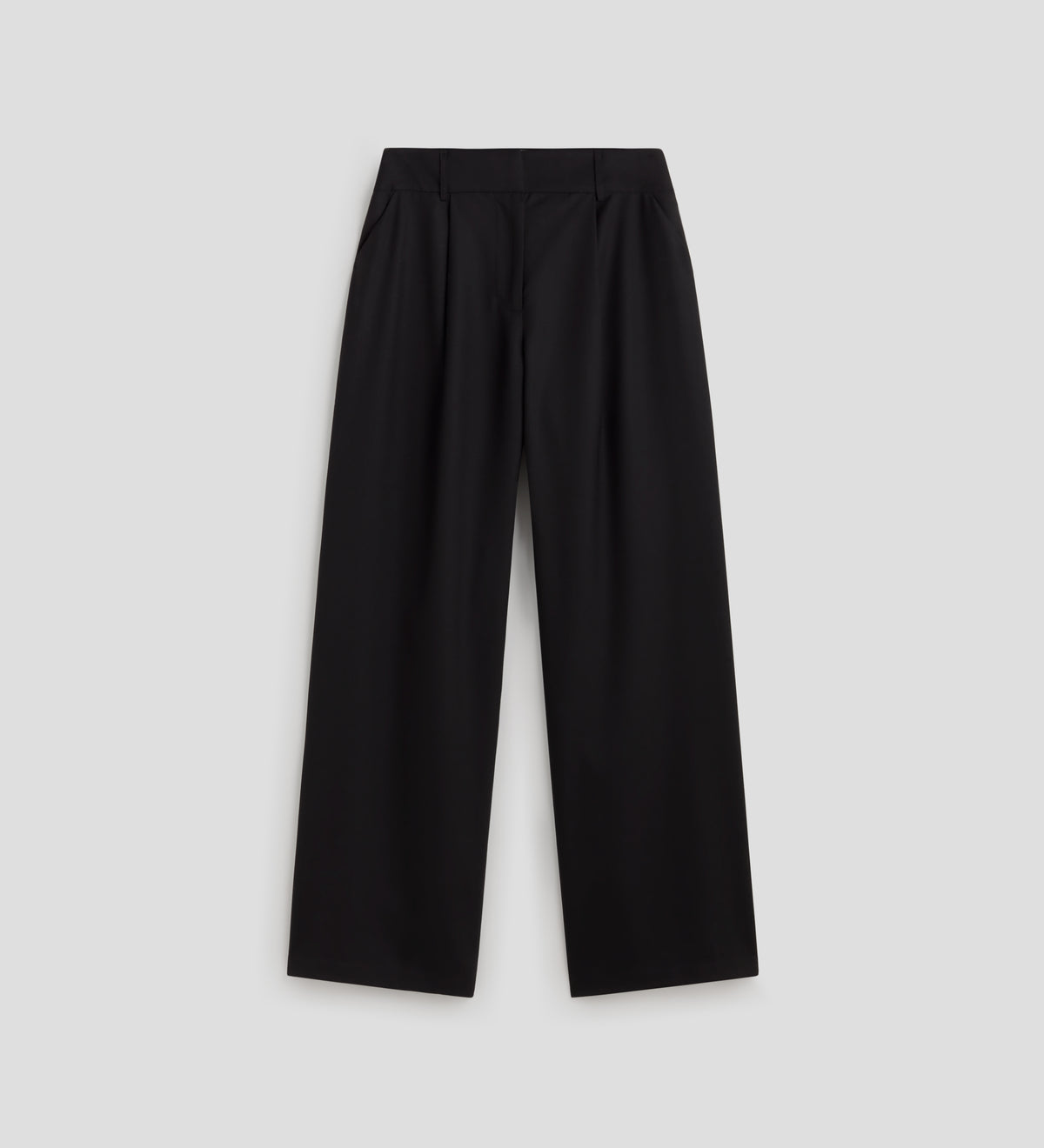Wide pleated pants