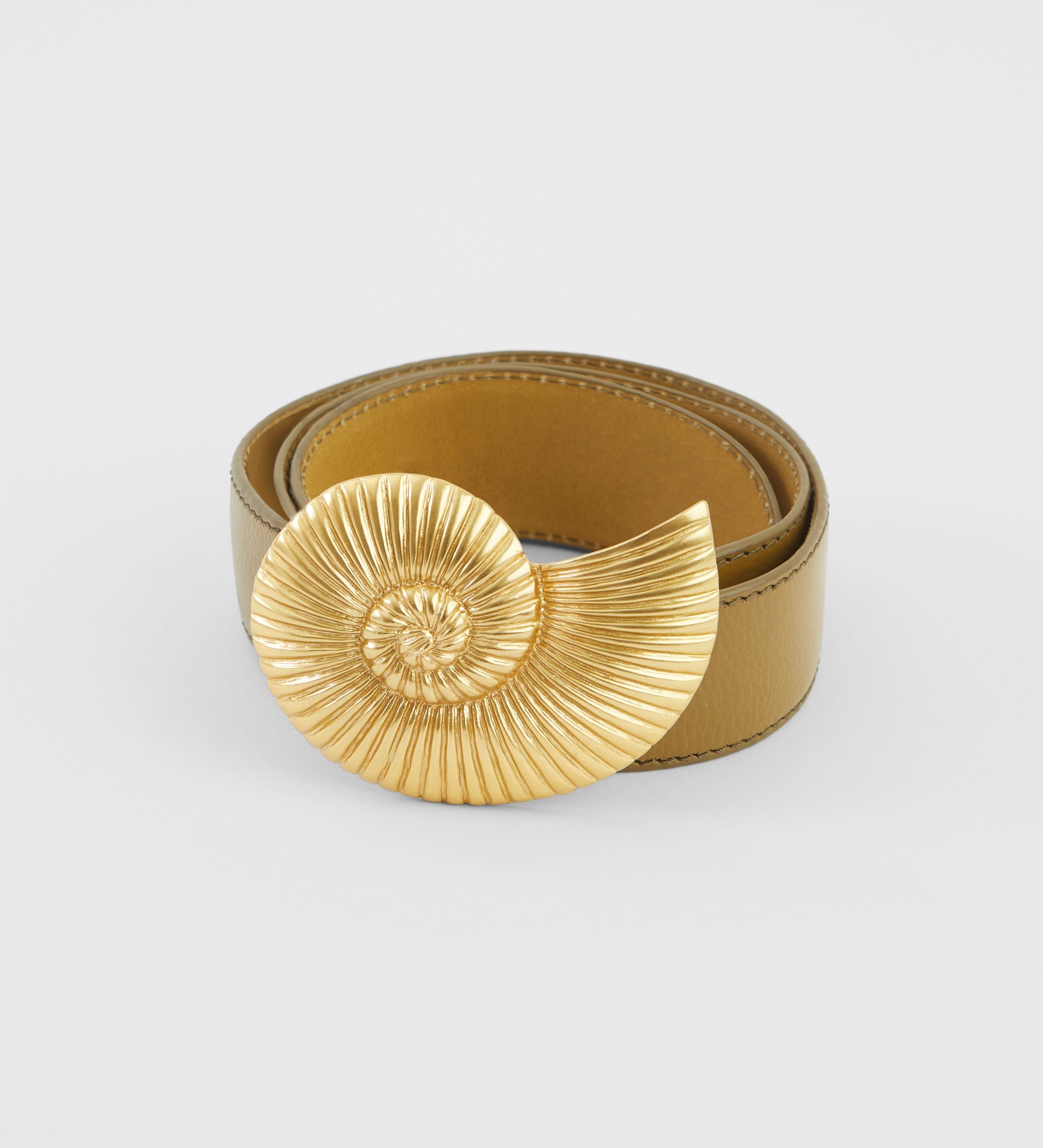 Ammonite buckle belt