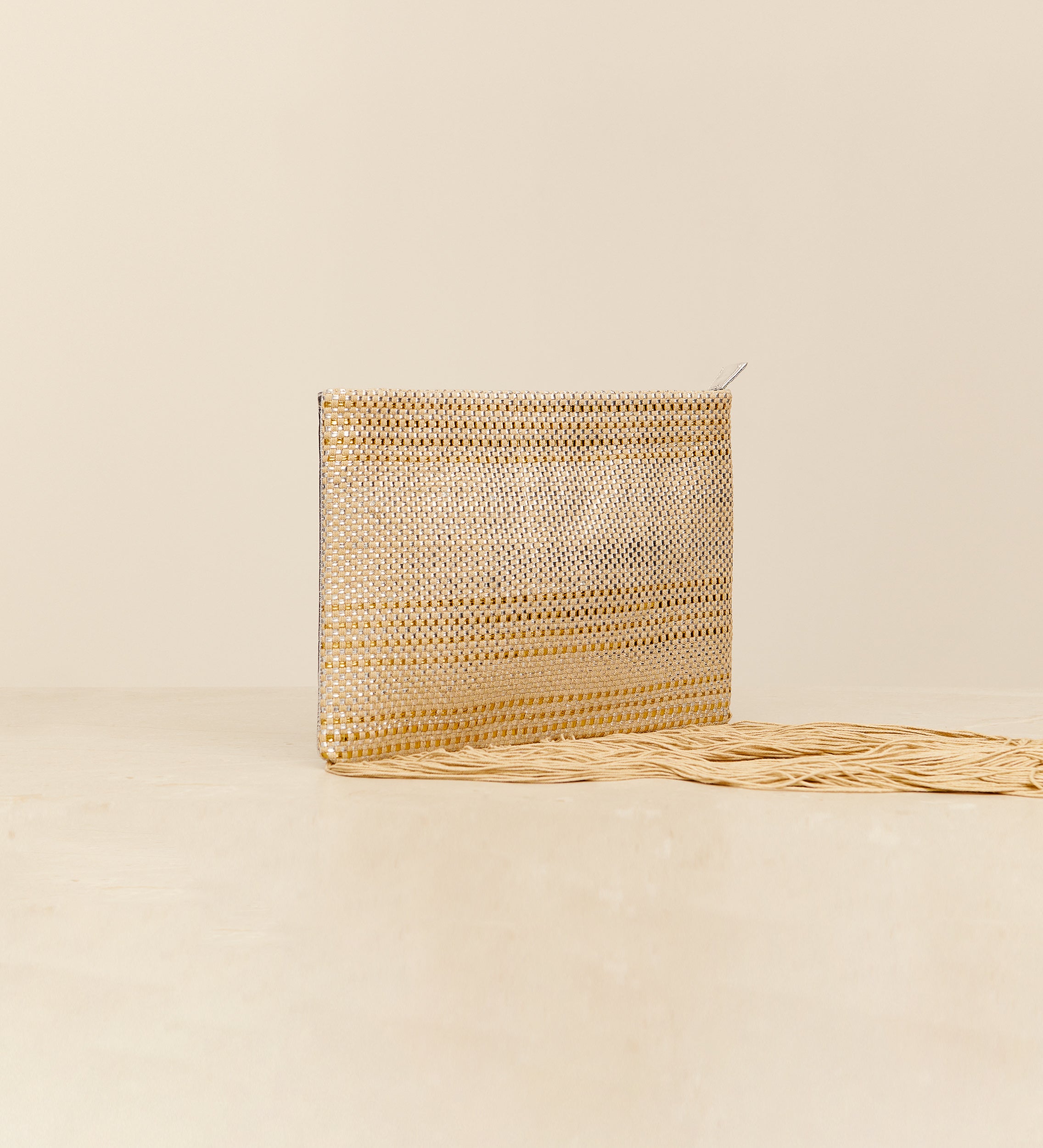 Metallic leather bag